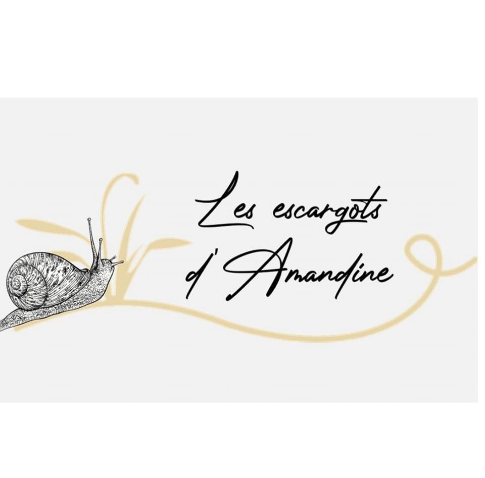 LES ESCARGOTS D AMANDINE 1