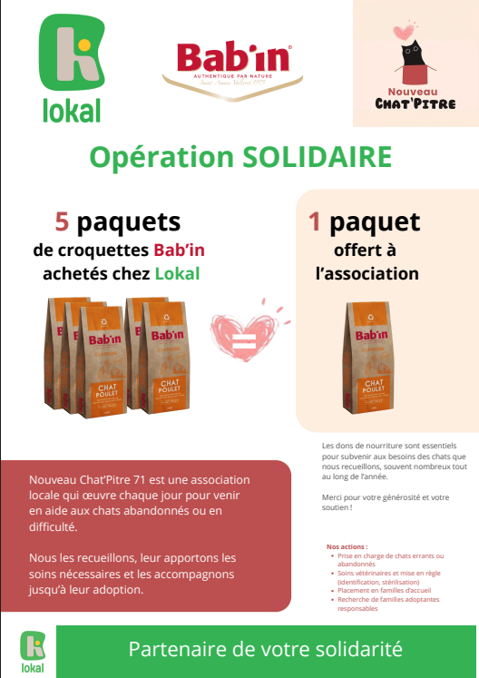 nouveau chat pitre